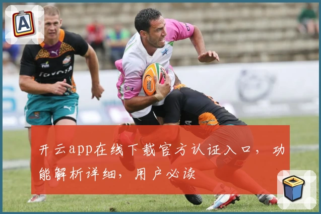 开云app在线下载官方认证入口，功能解析详细，用户必读