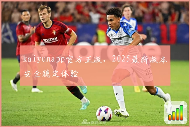 kaiyunapp官方正版，2025最新版本安全稳定体验