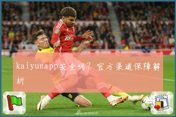 kaiyunapp安全吗？官方渠道保障解析