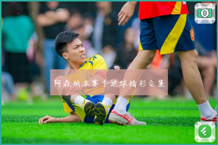 阿森纳本赛季进球精彩合集